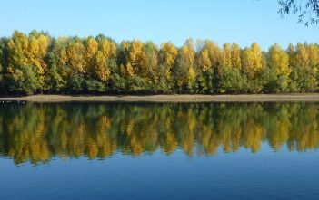 Rheinarm in der Spey (Foto: Wikimedia)