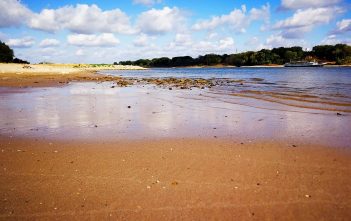 Niedrigwasser 2018: Langsam wird’s dramatisch Extremes Niedrigwasser des Rhein bei Düsseldorf-Lörick